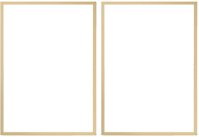 알루미늄 프레임 고급 인테리어 액자, 2개, 샴페인골드