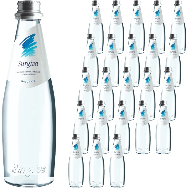 수르지바 미네랄 스틸 워터, 250ml, 24개 - 쿠팡