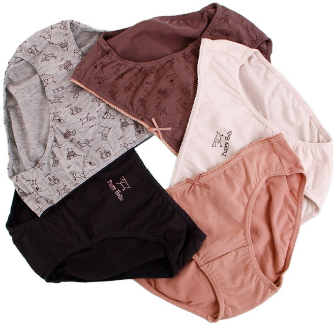 엠알키즈 주니어용 삼각팬티 5종 세트