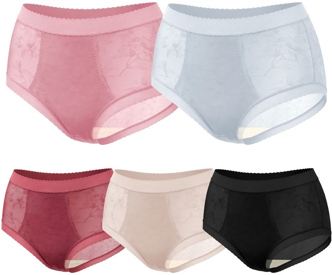 GIAT 吉亞特 輕涼柔肌蠶絲內褲高腰款5件組 531568, 黑色 + 裸膚 + 酒紅 + 淺藍 + 嫩粉