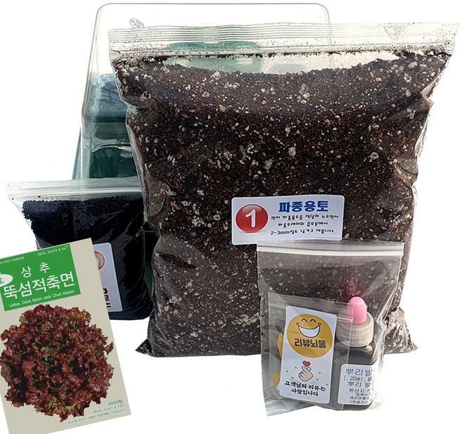 하늘e정원 꽃상추 씨앗 3000p + 키우기 키트 세트