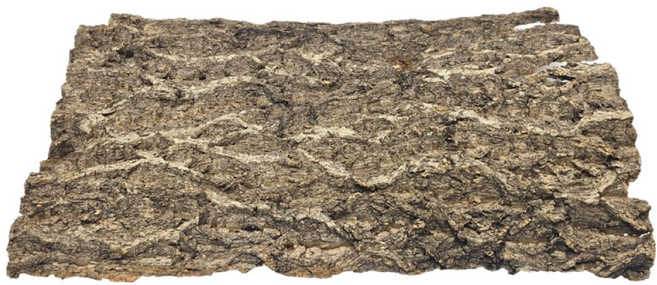 샘아쿠아 파충류 리프레쉬 코르크 비바리움 백판 나무껍질, 1개