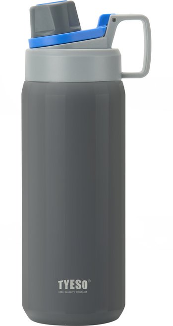 TYESO 泰碩 304不鏽鋼幻彩系列運動保溫水壺, 高級灰, 750ml, 1個