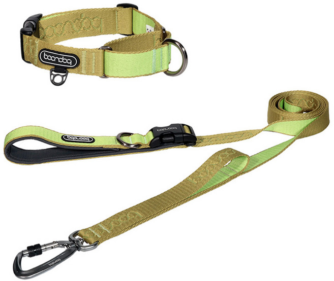 분독 반려동물 플레이 2m 롱리드줄 + 마틴게일 오리지널 목줄 세트, 키위, 1개