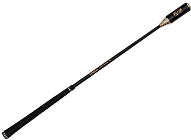 WIXX 사운드컨트롤 트레이너 스윙 템포 골프 연습기 일반그립, 블랙, 1개