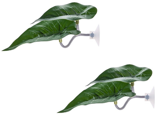 아쿠아비 편안한 환경 몬스테라 은신처, 2개