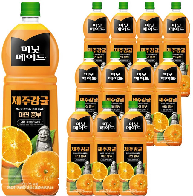 미닛메이드 프루티 제주감귤 주스, 1.5L, 12개