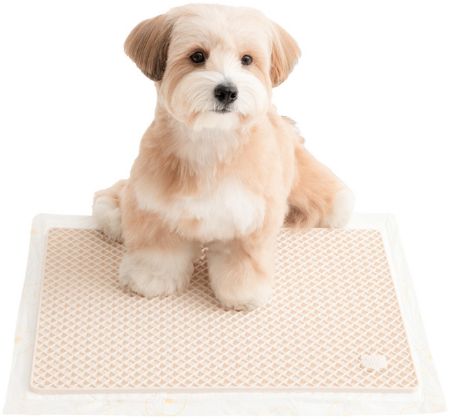 바잇미 강아지 발도장 방지 제로 가드 매트, 베이지, 1개