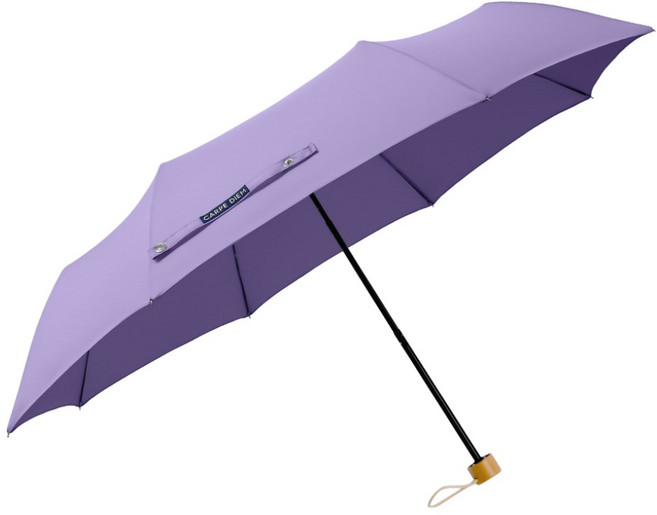 CARPEDIEM Witty 輕量木質三折傘 C039