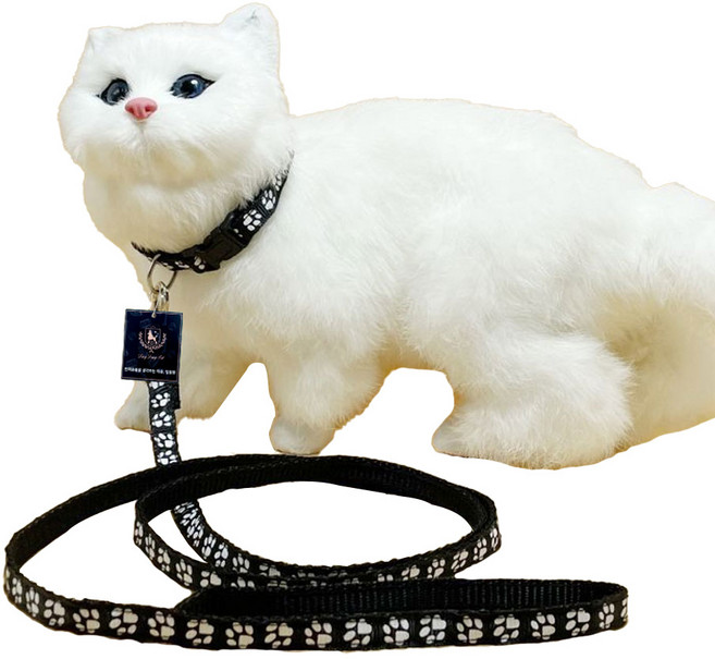 딩동펫 반려동물 발바닥 초경량 목줄 리드줄 세트, 블랙, 1세트