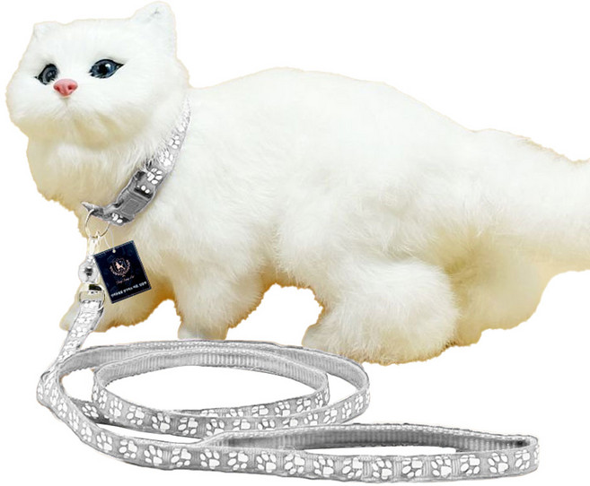 딩동펫 반려동물 발바닥 초경량 목줄 리드줄 세트, 그레이, 1세트