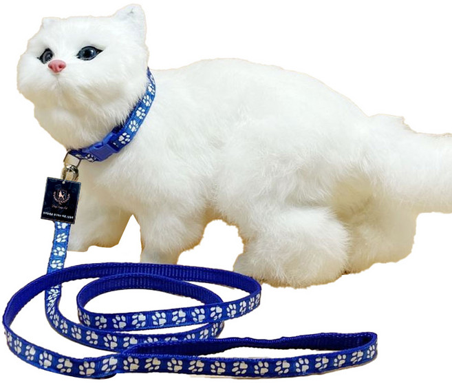 딩동펫 반려동물 발바닥 초경량 목줄 리드줄 세트, 블루, 1세트