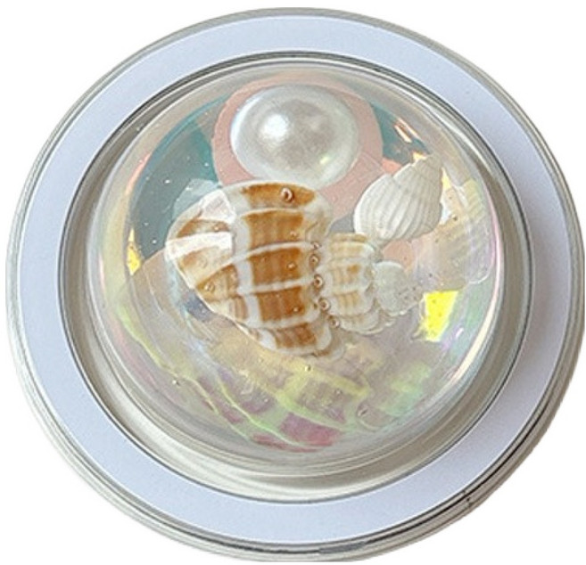 케이스틱 반구 어항 맥세이프 스마트톡, type5, 1개