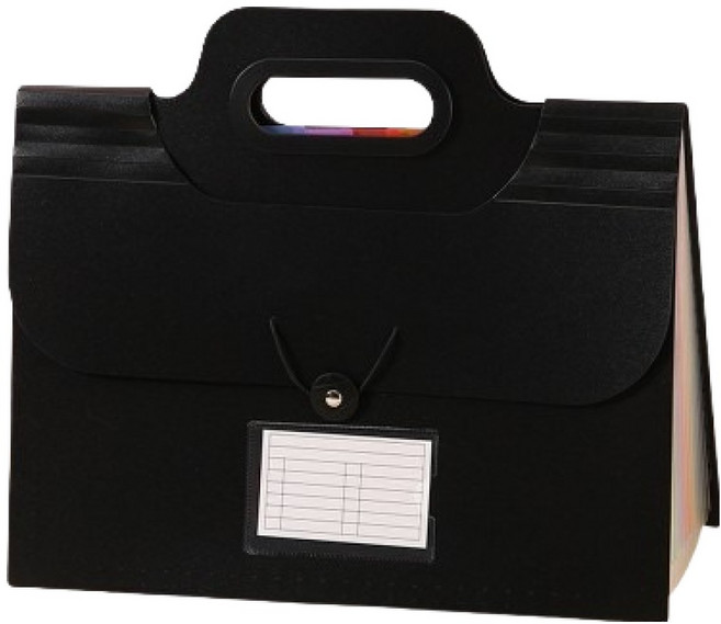 썸즈마인 컬러풀 휴대용 13홀더 아코디언파일, 블랙, 1개