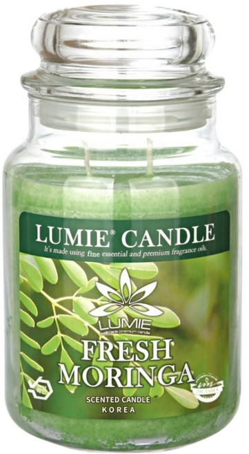 르미에 캔들, 570g, 1개, 후레쉬 모링가