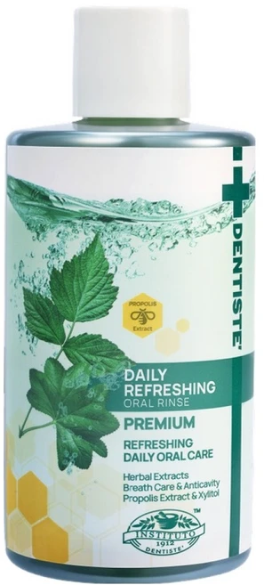 덴티스테 리프레싱 오랄 린스, 1개, 500ml - 쿠팡