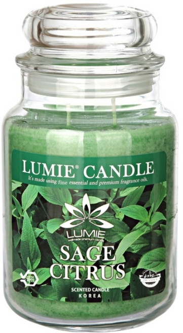 르미에 캔들, 570g, 1개, 세이지 시트러스