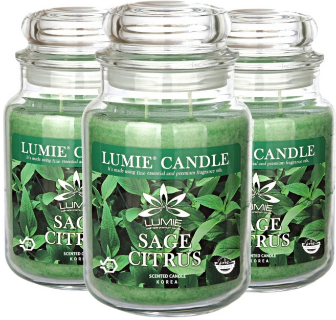 LUMIE CANDLE 蠟燭, 570g, 3個, 鼠尾草柑橘