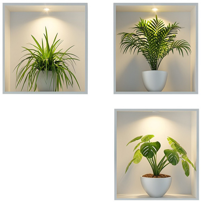 LANO 열대 식물 화분 액자 프레임 벽 스티커 3종 세트, 혼합색상