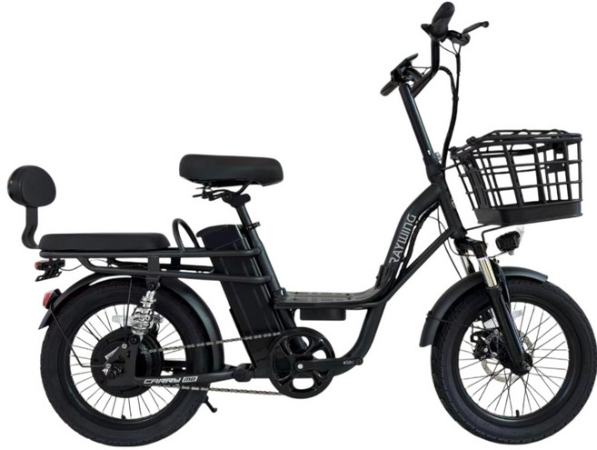 레이윙 캐리 미 동반좌석 전기자전거 10.4Ah 고객직접설치, 팬텀 블랙, 스틸
