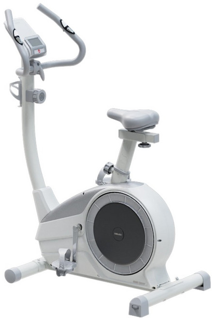 멜킨스포츠 싱크 그랜드입식 바이크 스마트 실내자전거 고객직접설치, GDP01, 퀀텀화이트