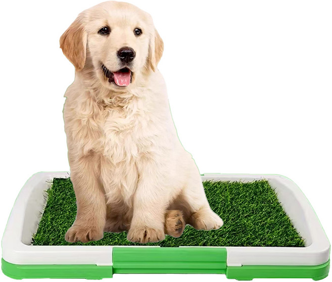 레드퍼피 강아지 잔디 배변판, 그린, 1개