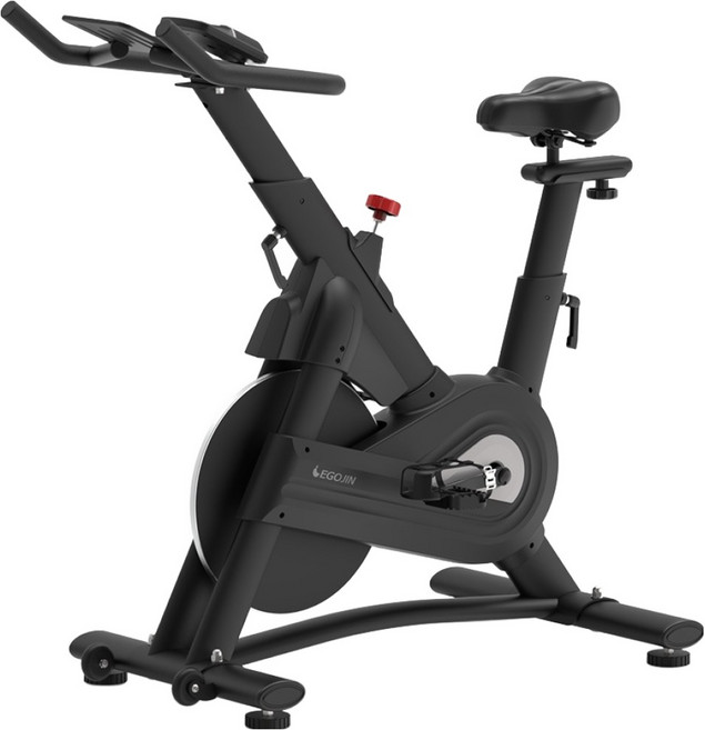 이고진 스피닝 실내자전거, SP310, Black