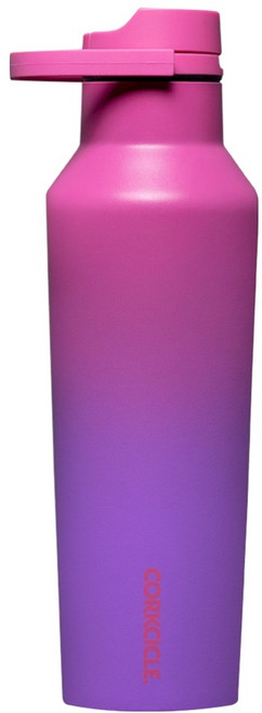 콕시클 스포츠 캔틴 시리즈A 밀폐 보온 보냉병 텀블러, 1개, 600ml, 하이드렌지아