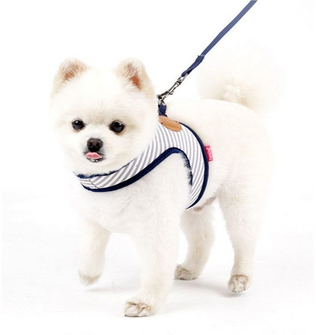 Benny 狗狗簡易舒適胸背帶 + 牽繩套組, 藍色, 1套