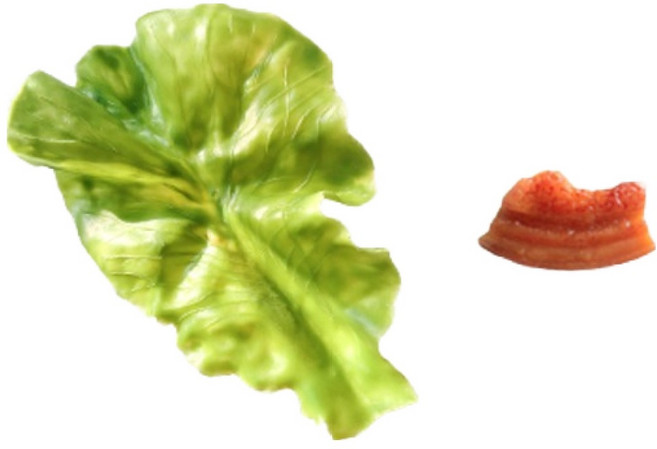 윰스 상추핀 삼겹살 머리핀 쓸모없는 선물 생일파티 소품, 혼합색상, 1세트