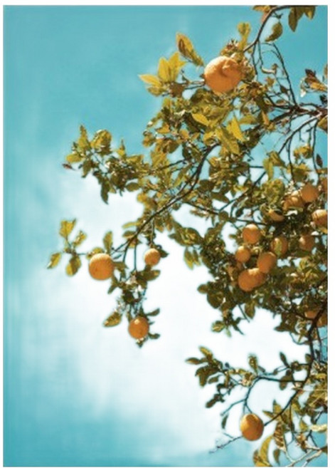 디드로케이 지중해 북유럽 풍경 사진 포스터 풍경 4