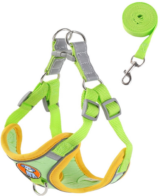 무아즈 강아지 산뜻한 하네스 세트, 그린, 1세트
