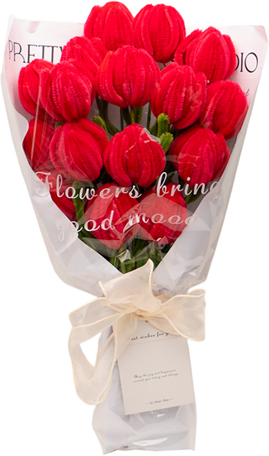 투코비 TUCO.B DIY 모루 꽃다발 만들기 세트, 1세트, 02 레드튤립