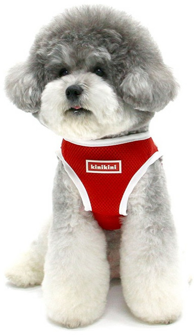 키니키니 강아지 오리지널 로고 메쉬 조끼형 하네스, 레드, 1개