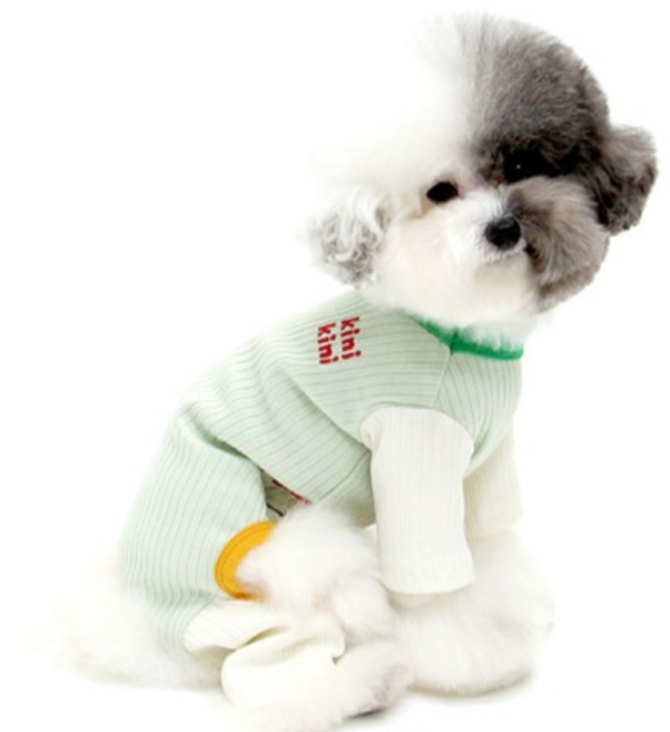 키니키니 강아지 코튼 캔디 올인원, 그린, 1개