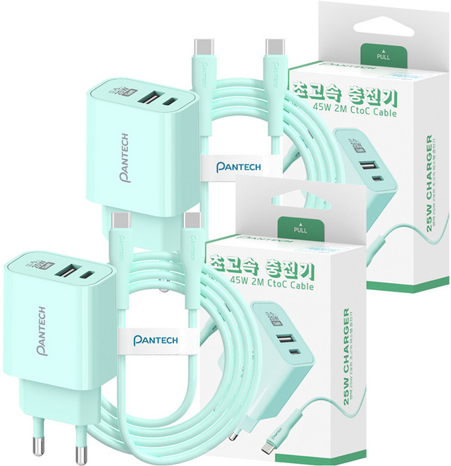 팬택 2포트 파스텔 C타입 고속충전기 25W + C타입 케이블 45W 2m 세트, 2세트, 민트