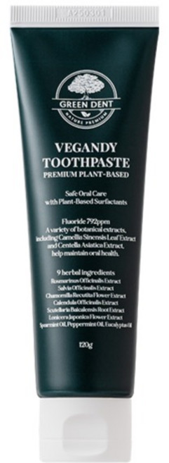 그린덴트 비건디 허브 민트 치약, 1개, 120g