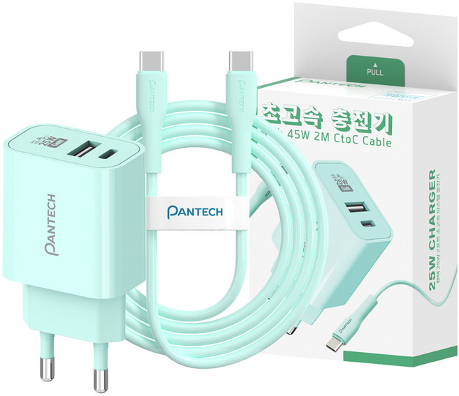 팬택 2포트 파스텔 C타입 고속충전기 25W + C타입 케이블 45W 2m 세트, 1세트, 민트