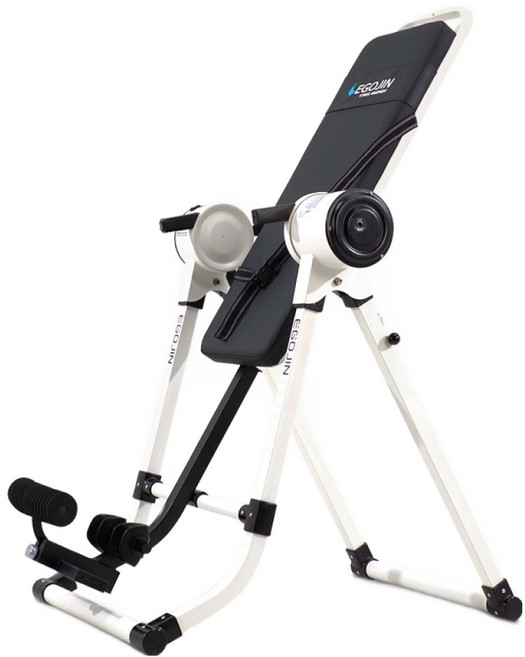 이고진 전동 거꾸리, RT73, 화이트(프레임) + 블랙(등판)