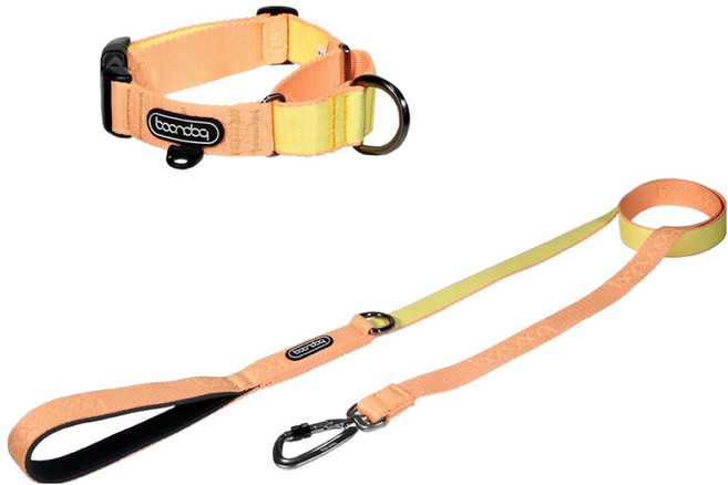 분독 강아지 오리지널 리쉬 + 목줄 세트, 피치, 1세트