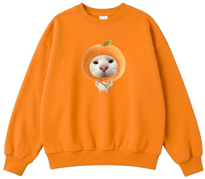 제니키즈 오버핏 귤냥이 맨투맨 JN1096M