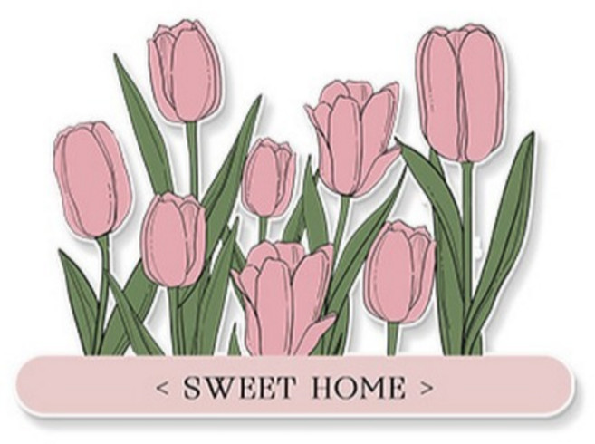 쏙쏙채움 스위치 벽보호 아크릴 콘센트 스위치 스티커 B, 혼합색상