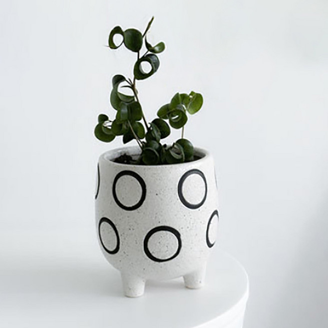 Alleophom 圓點陶瓷圓形花盆 L261-0063, 線條圓點, 1個