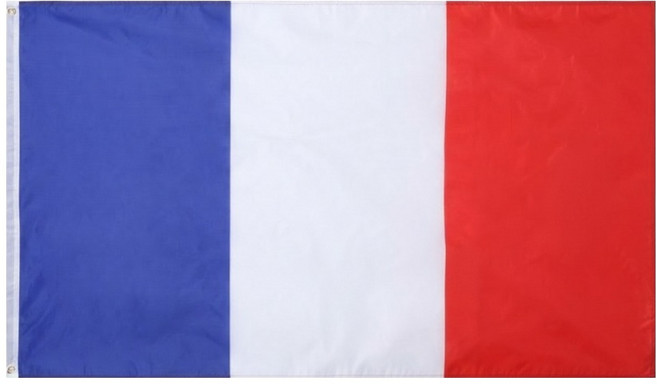 MARKETPIA 法國國旗應援裝飾旗 90 x 150 cm, 1個, 混合色