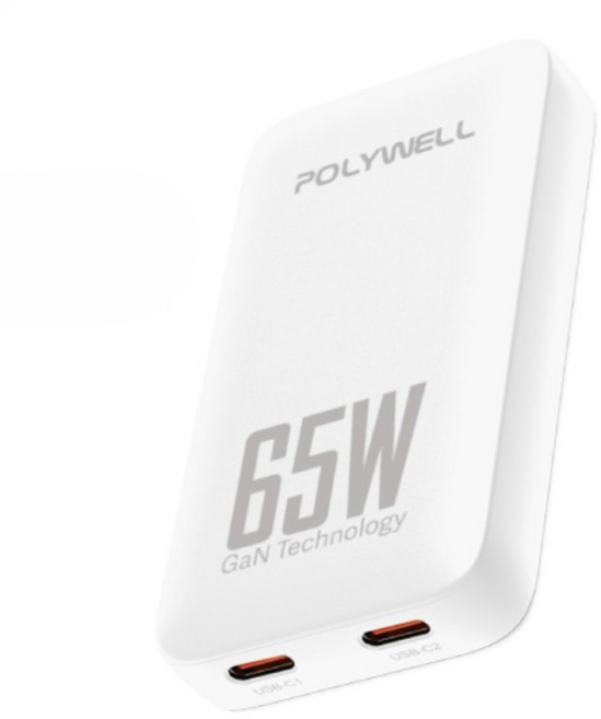 POLYWELL 寶利威爾 GaN雙Type-C輕薄型快充頭 65W S014P03, 白色, 1個