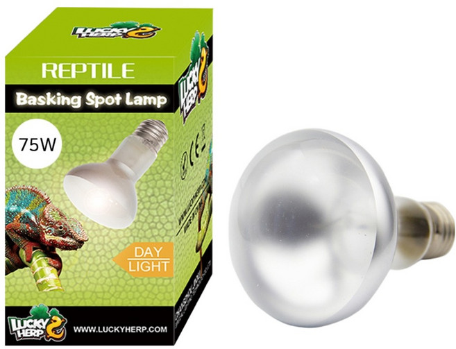 럭키허프 데이라이트 UVA 파충류 바스킹 스팟 램프 75W, 혼합색상, 1개