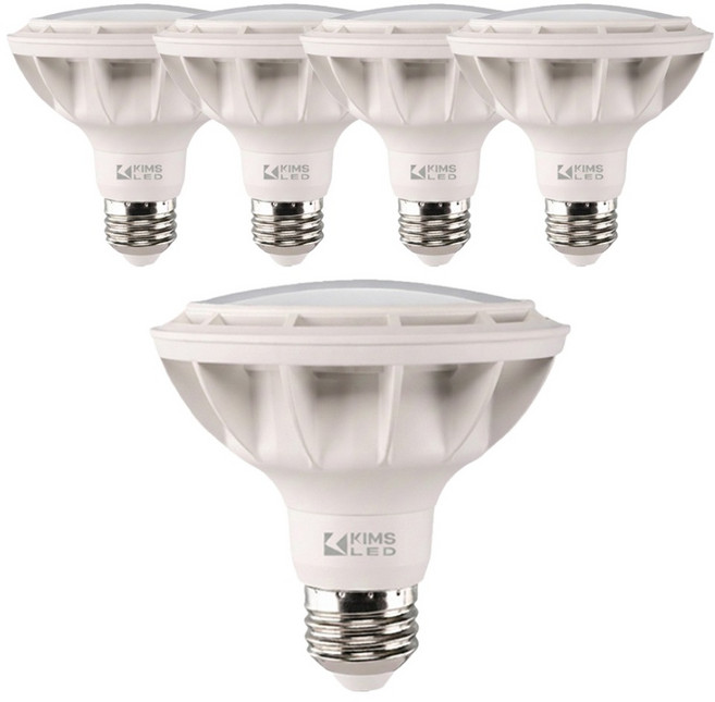 킴스엘이디 확산형 전구 15W PAR30, 주광색, 5개