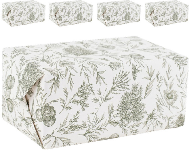 뮤니드 보타닉가든 선물 포장지, 5개, 그린