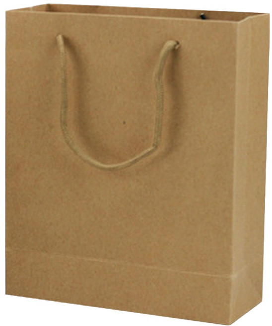 아이엔피 둥근끈 기프트 쇼핑백 세로형, 크라프트, 10개