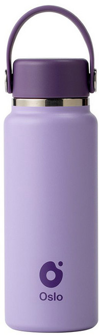 오슬로 미니룹 스텐 미니 텀블러, 퍼플, 1개, 300ml